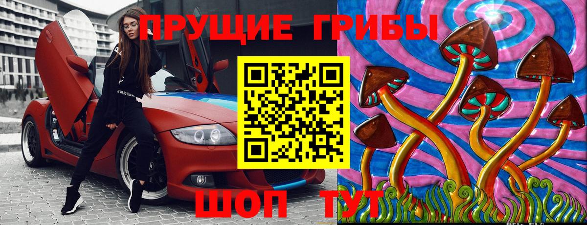Псилоцибиновые грибы GOLDEN TEACHER Усинск