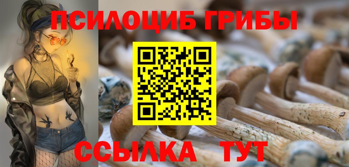 Псилоцибиновые грибы Psilocybine cubensis  Вход с VPN  Усинск 